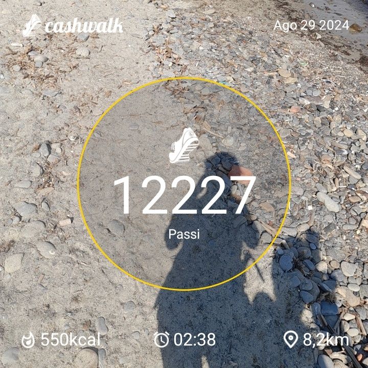 CashWalk_share_capture_20240829_1459aa55-8210-4543-8e46-27914eae