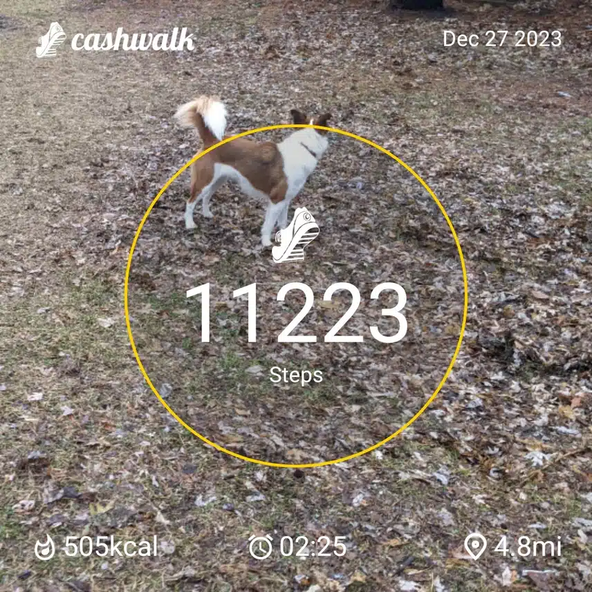 CashWalk_share_capture_20231227_9f967faf-b46f-4239-92fe-7510327c