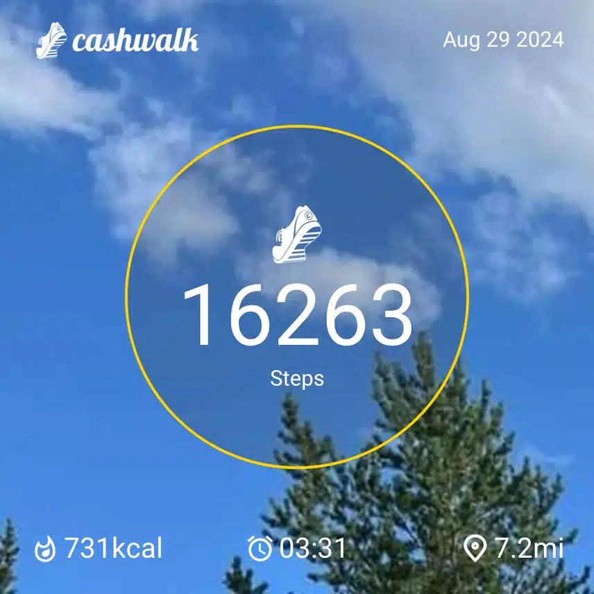 CashWalk_share_capture_20240829_4bdbae66-7e35-4570-a76e-5eef0ac3