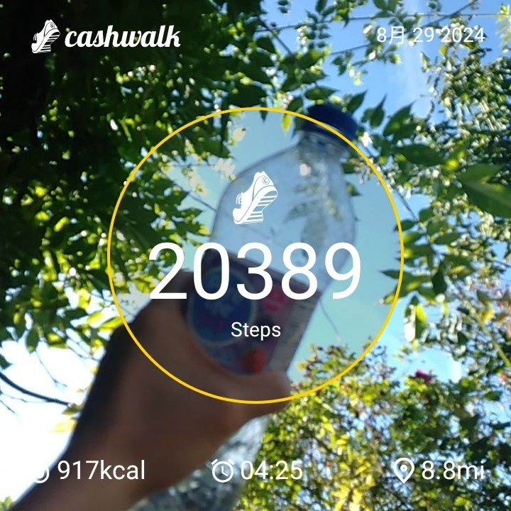 CashWalk_share_capture_20240829_2d9271c0-b3ff-4a5d-9450-f05afffa
