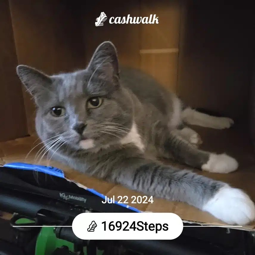 CashWalk_share_capture_20240722_730780aa-3dcd-4b4b-9a60-f81354d0