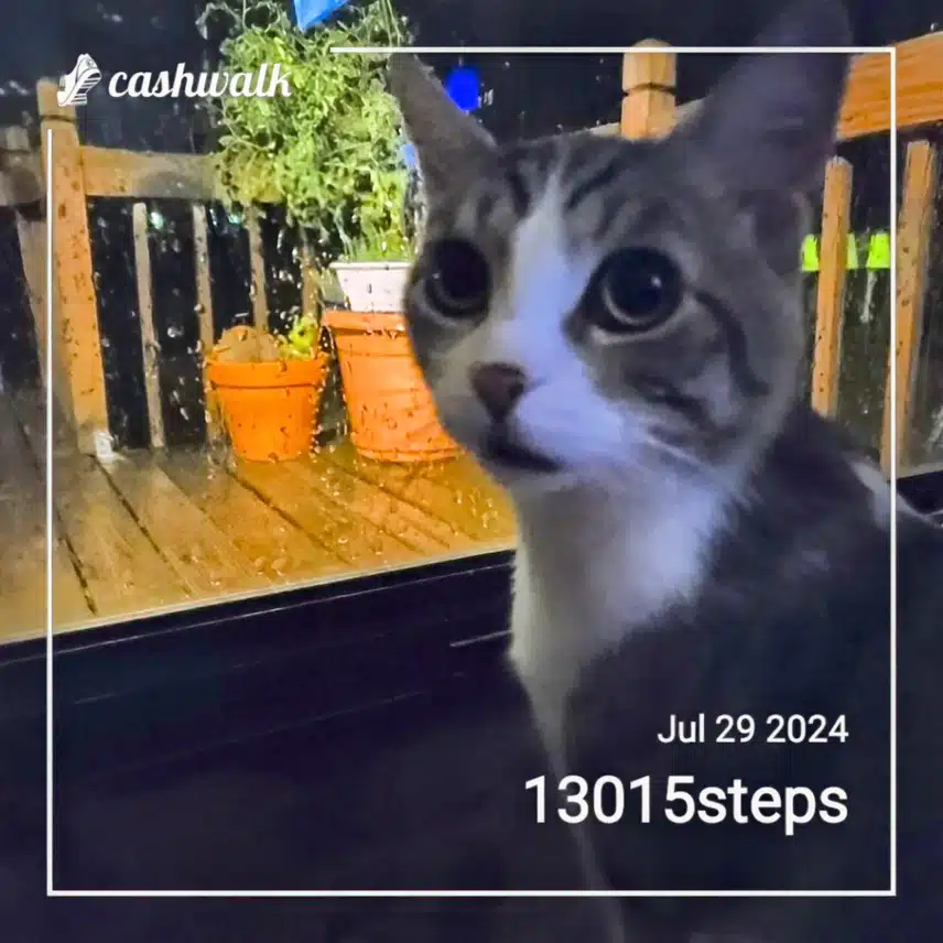 1000009921.jpg_resize