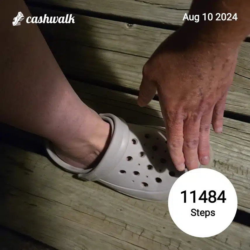 CashWalk_share_capture_20240810_f06288a9-586c-43b0-9d0c-7a371079