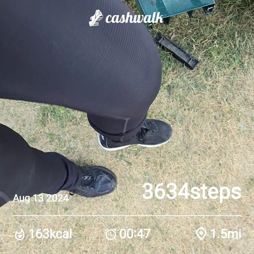 CashWalk_share_capture_20240813_8a8c80ff-2f54-41df-879e-01a0c38b