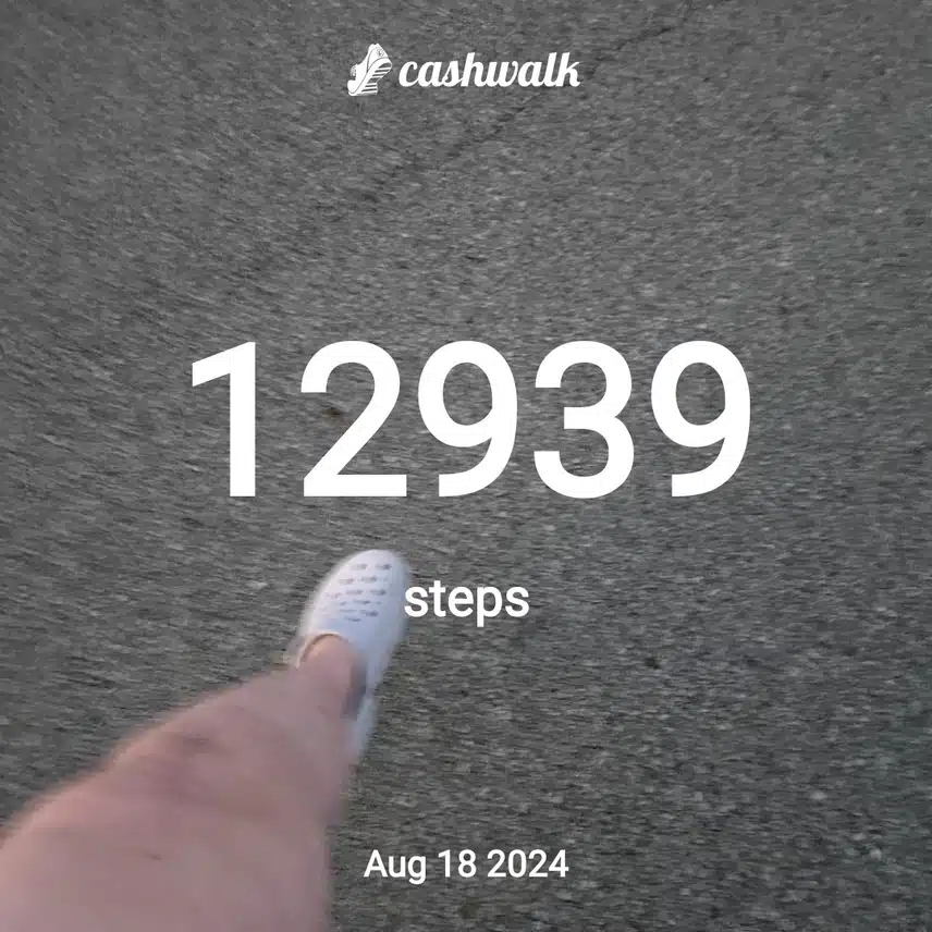 CashWalk_share_capture_20240818_62c4ca02-41b5-4658-8afd-68222e55