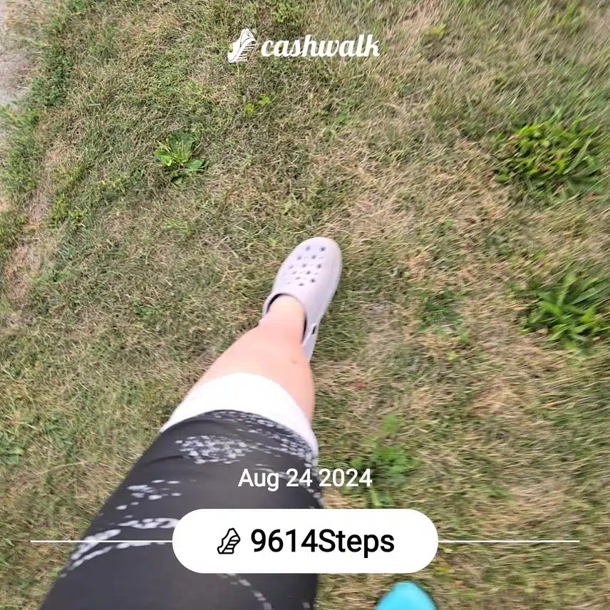 CashWalk_share_capture_20240824_29aa7459-19a8-4781-bff3-82eac614