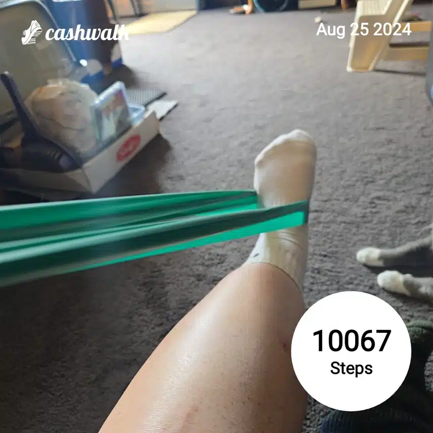 CashWalk_share_capture_20240825_4973e86a-01d9-46a3-9982-debde788