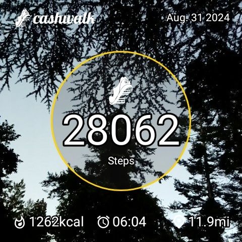 CashWalk_share_capture_20240831_73a0816d-1f01-4fbd-8856-ffd33bac
