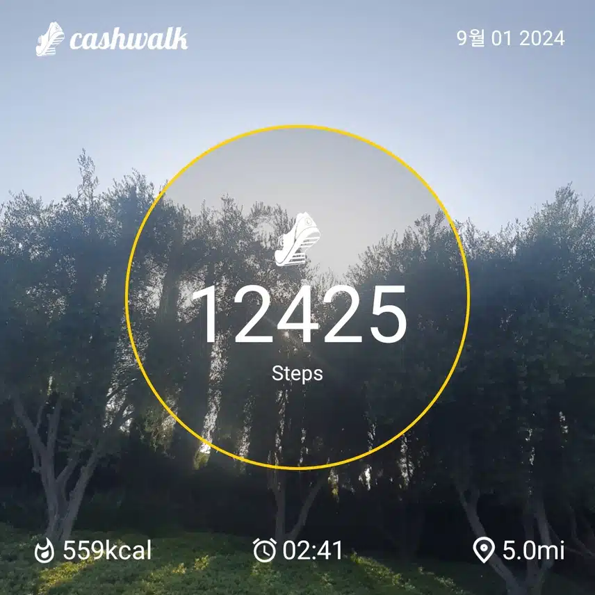 CashWalk_share_capture_20240901_babaa94c-f9b6-4b27-ac75-041277e2