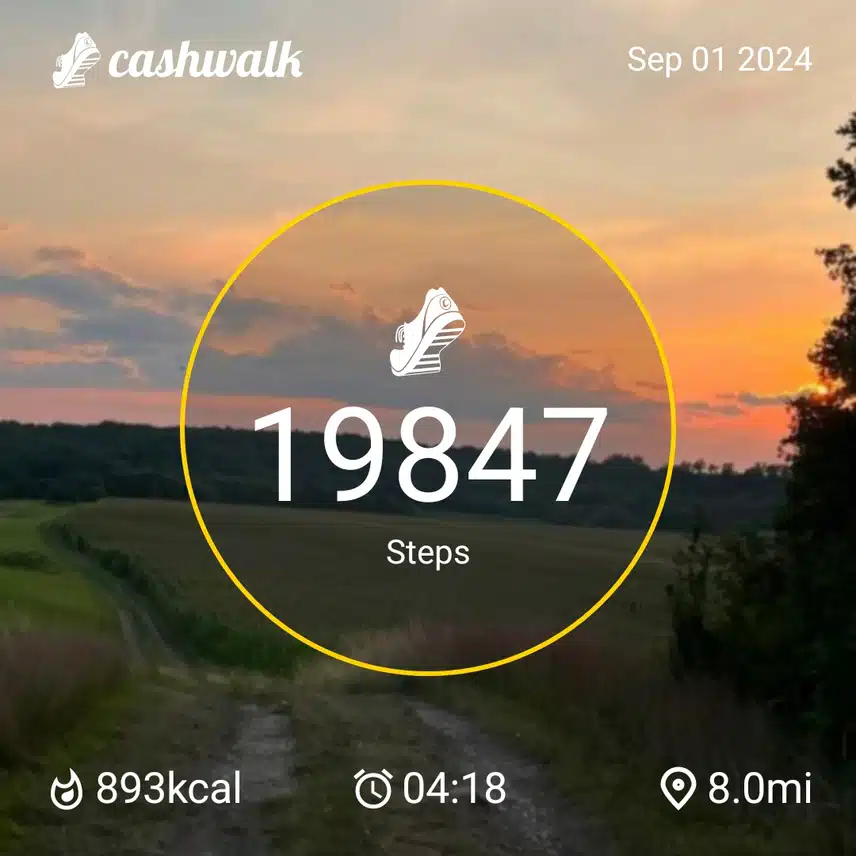 1000088002.jpg