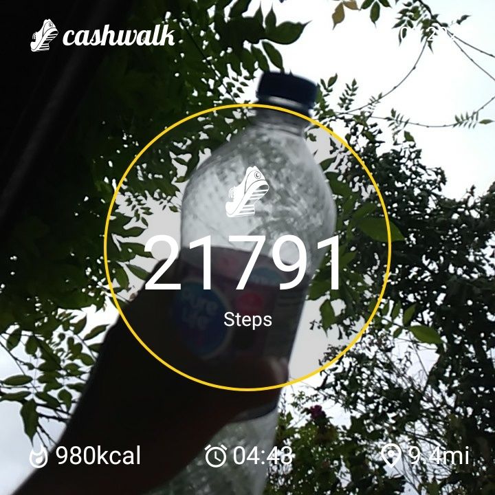 CashWalk_share_capture_20240902_21493e92-32ed-423b-a984-d964c2ec