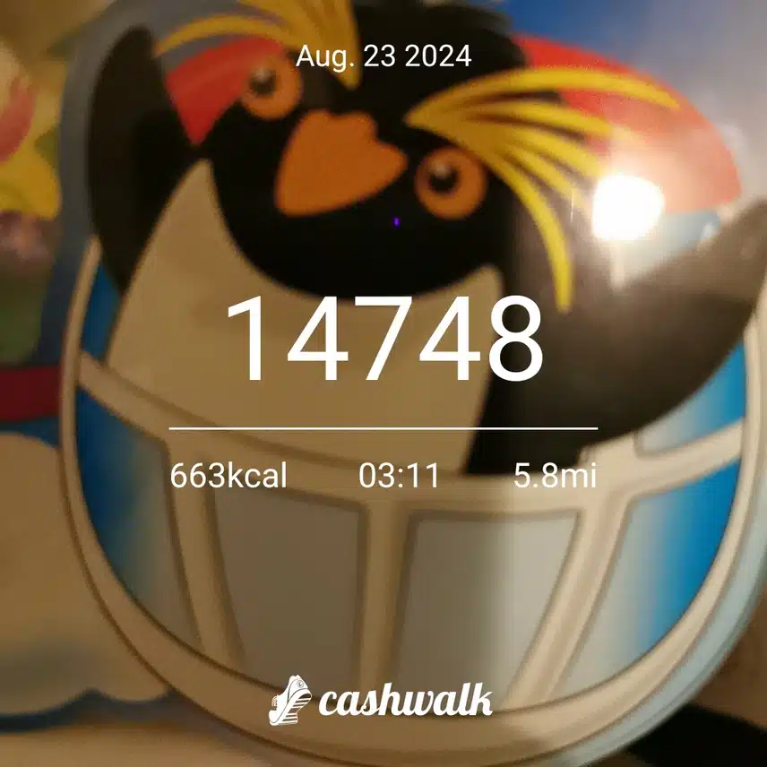 CashWalk_share_capture_20240823_45da7609-3d4e-47b9-b273-dab8aacb