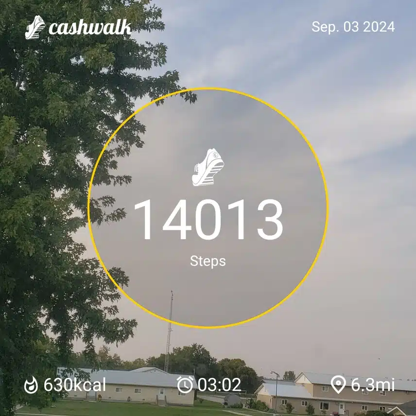 CashWalk_share_capture_20240903_4b4479f7-8065-4abc-aeaf-05f28fda