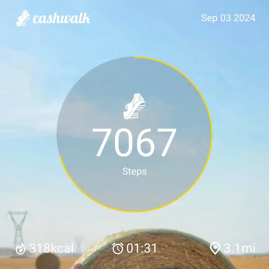 1000079258.jpg_resize