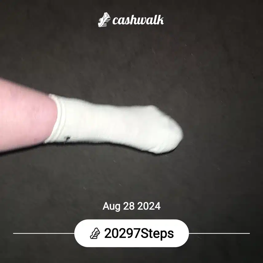 CashWalk_share_capture_20240828_934c8d77-2b82-4c0a-b77d-c1e674cf