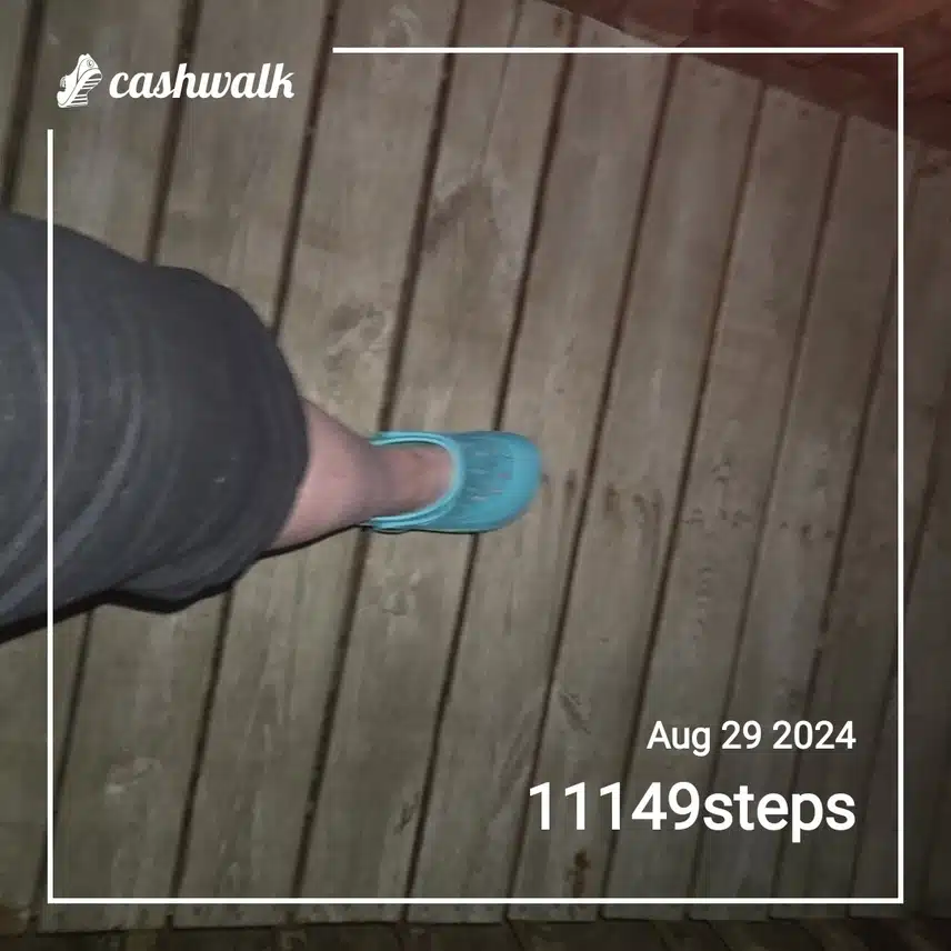 CashWalk_share_capture_20240829_95120393-bd9f-4c05-ae2d-4f2b4b3c