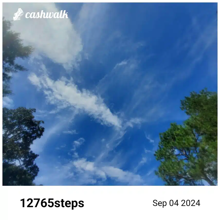 CashWalk_share_capture_20240904_f3046c3b-f204-45e5-a9c3-3f74fb9e