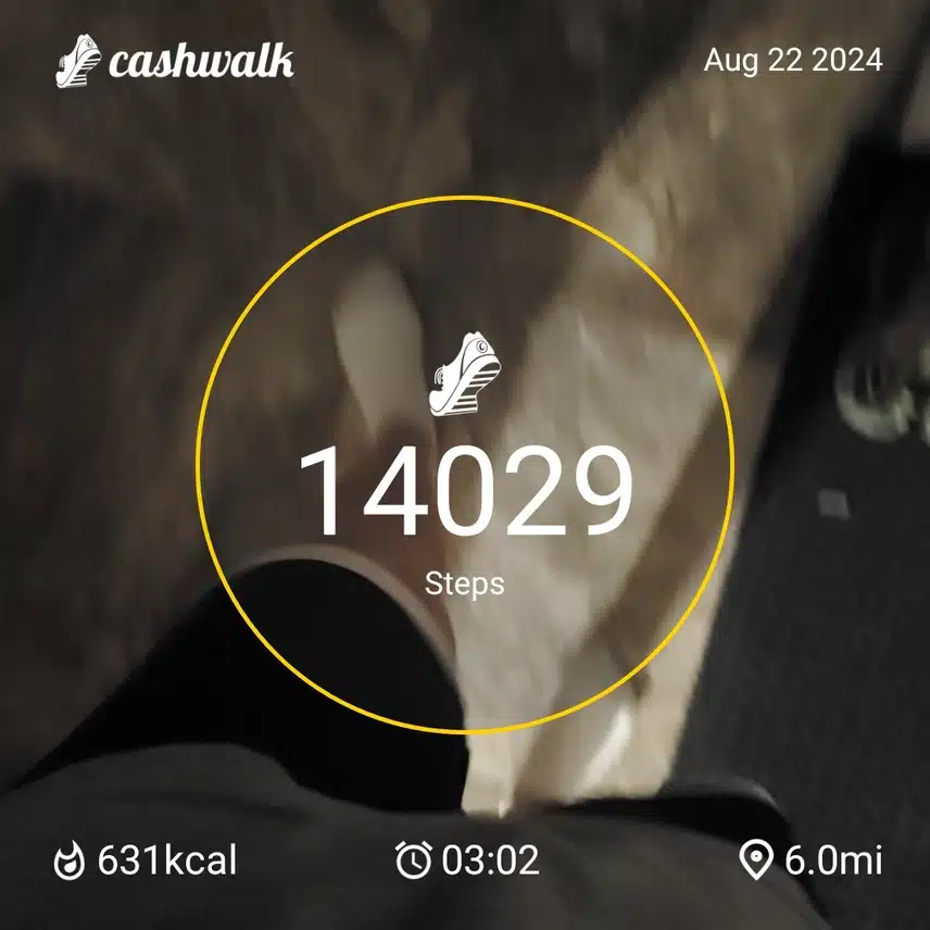 CashWalk_share_capture_20240822_ed23bf71-540a-4569-bfca-597ee49e