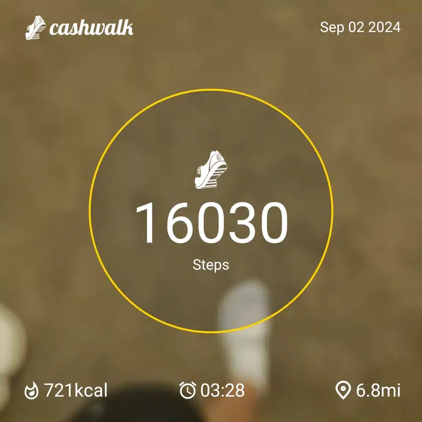 CashWalk_share_capture_20240902_e9b76a5b-13f4-4ed0-a4bc-3e99890c