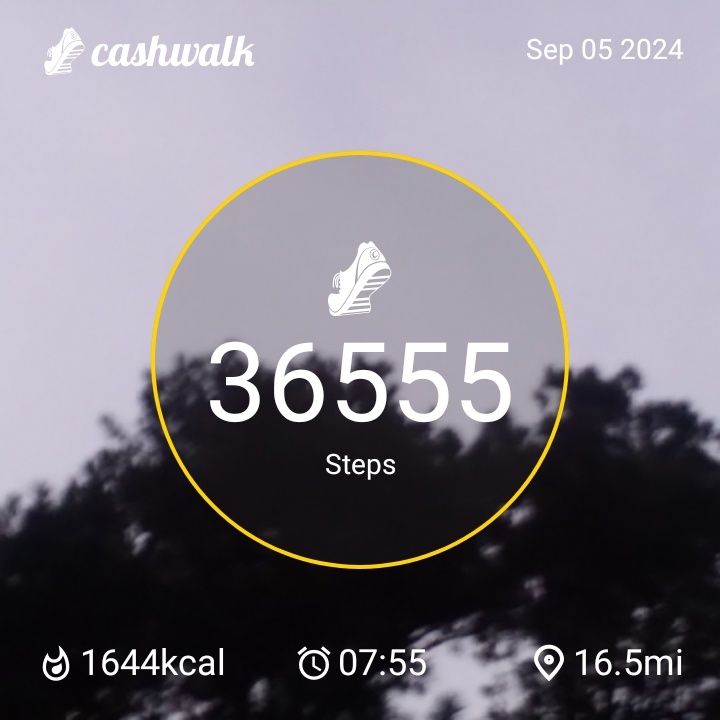 CashWalk_share_capture_20240905_fbe3ee55-0271-456b-b072-a6b9df5a
