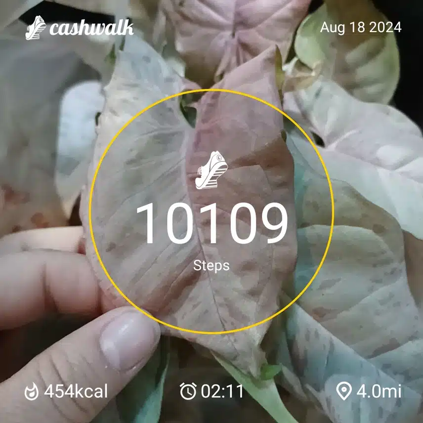 1000014318.jpg_resize