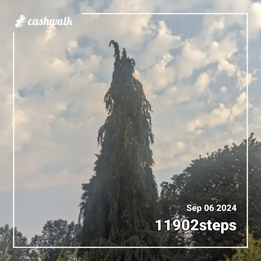 1000009968.jpg_resize