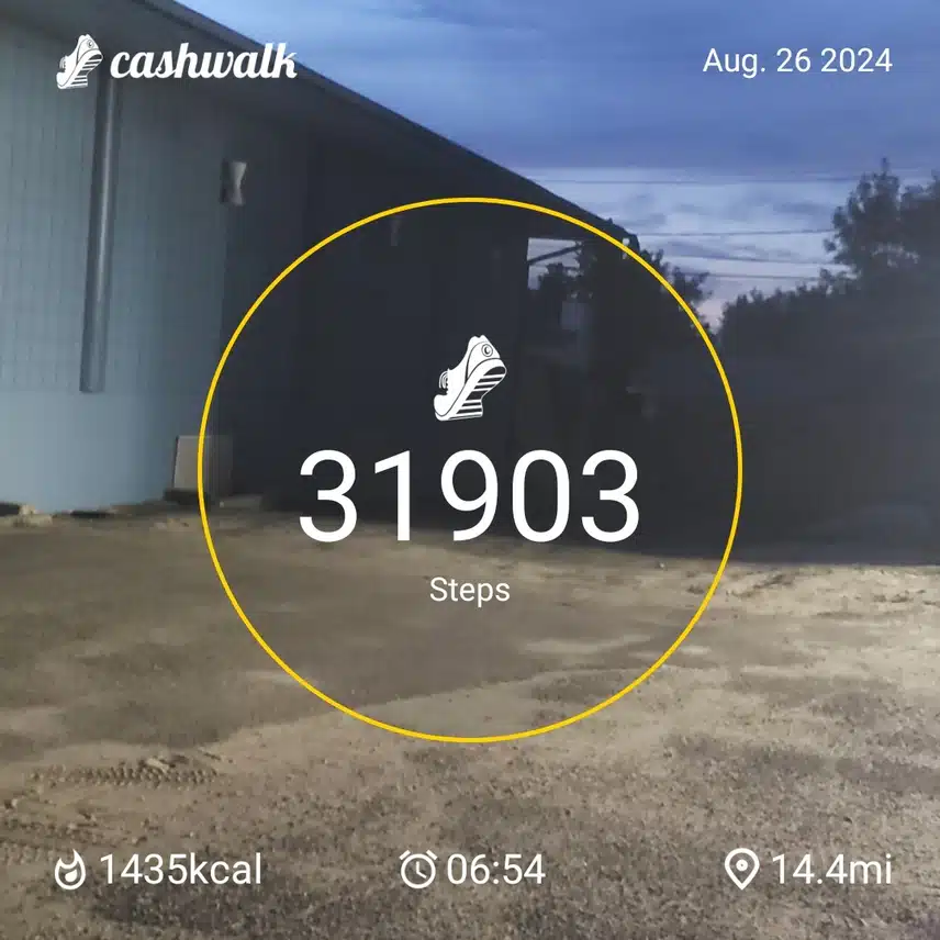 CashWalk_share_capture_20240826_4ab5efb1-d606-4517-b6c0-bc9492d5