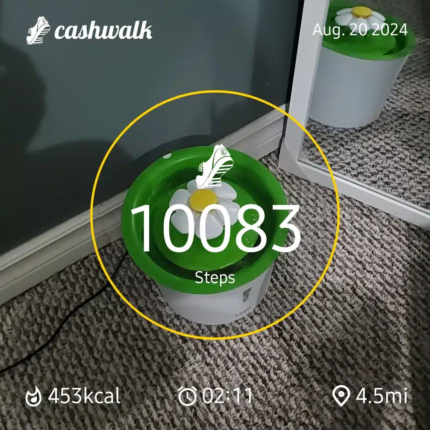 CashWalk_share_capture_20240820_92c04c35-34c8-483b-b943-f70df534