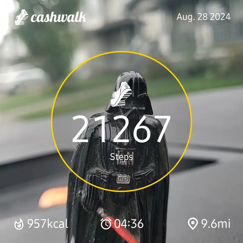 CashWalk_share_capture_20240828_55250ef9-6dd3-47b5-a3a6-8678b563