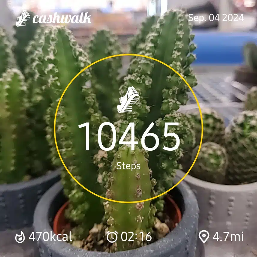 CashWalk_share_capture_20240904_90635cf5-0fc0-47ad-bbc8-e545e02b