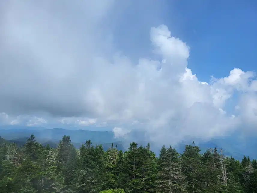 20230725_113858.jpg_resize