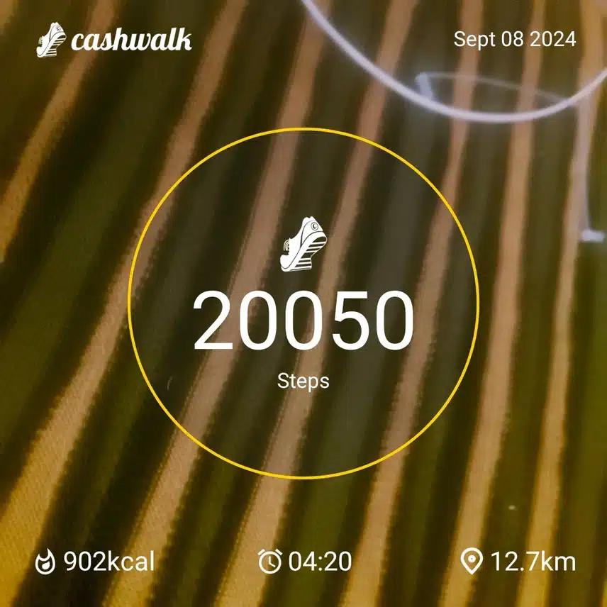 CashWalk_share_capture_20240908_64a79f76-261f-4fdf-8db8-28f7fc49