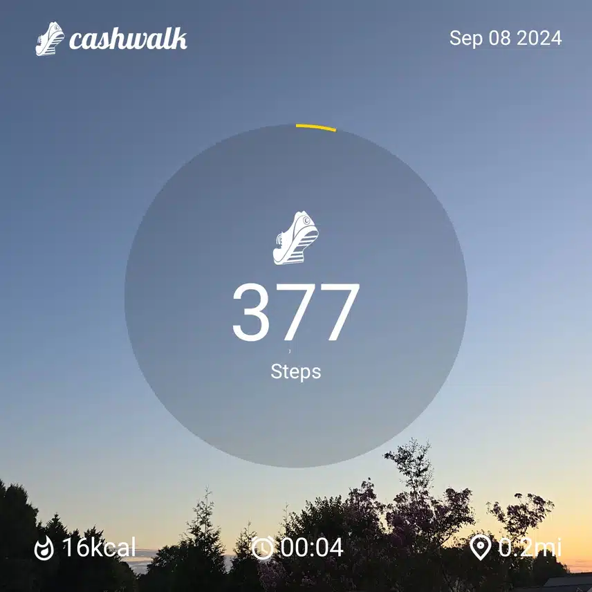 1000006949.jpg_resize
