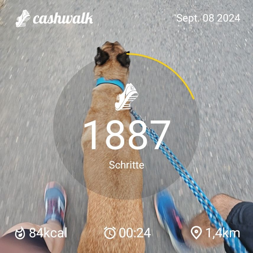 CashWalk_share_capture_20240908_1c3d0a11-105f-48f8-bcf9-c12a201c