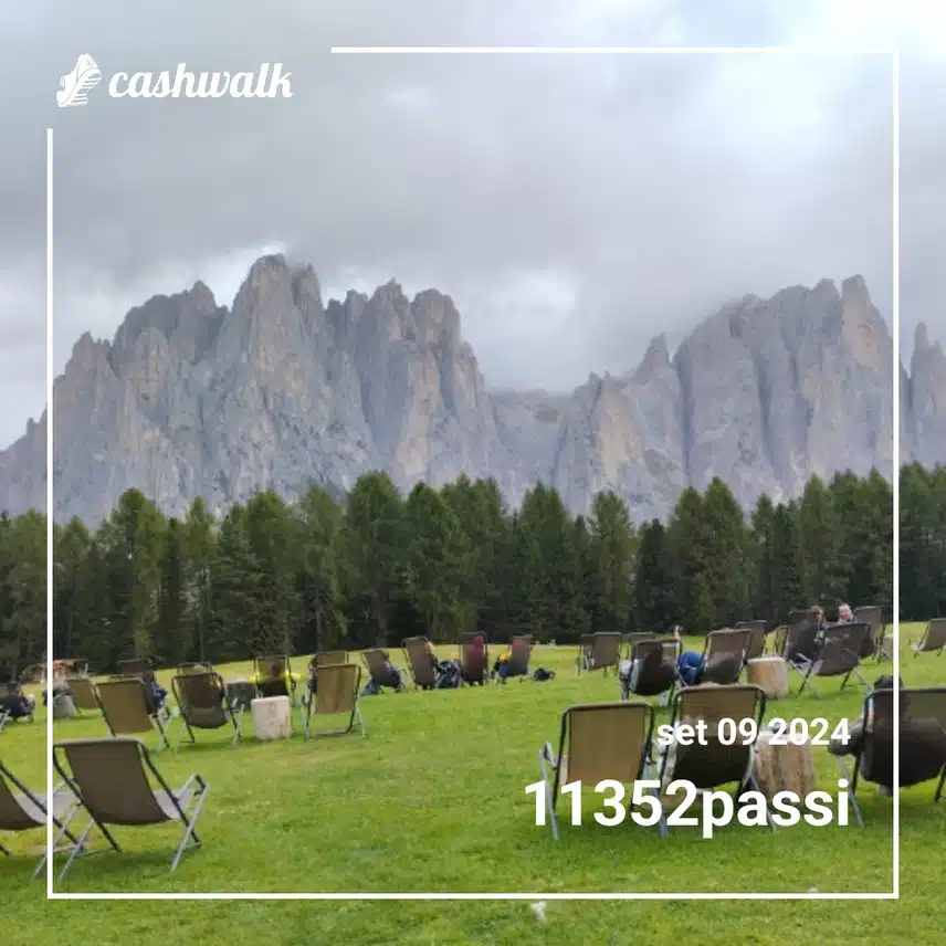 CashWalk_share_capture_20240909_7854def5-c28b-4ee0-878f-7ad9fcf6