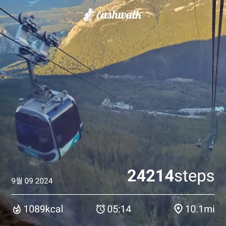 CashWalk_share_capture_20240909_ec437db4-d9b0-4e97-bd3c-fd7834a8