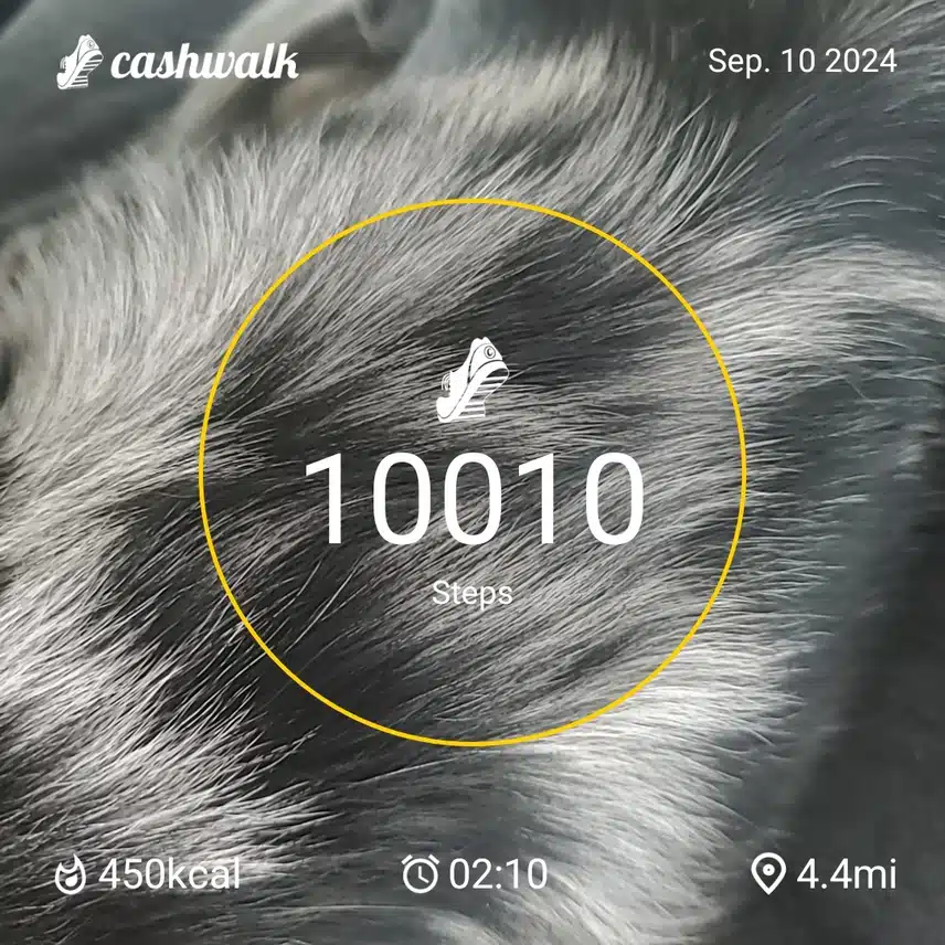 CashWalk_share_capture_20240910_bee9e189-02e0-4832-bc3b-7d51f44f