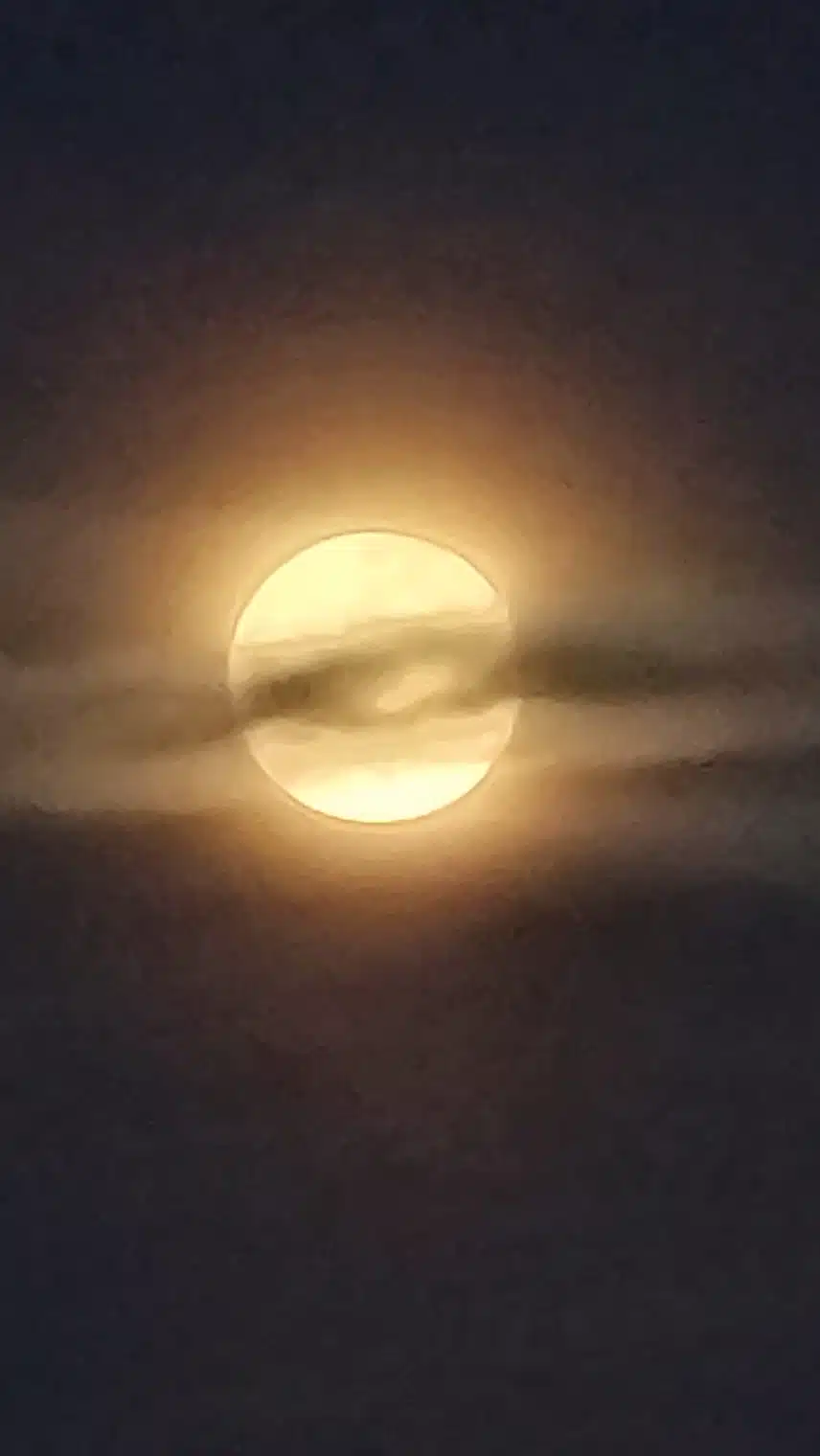 1000085944.jpg_resize