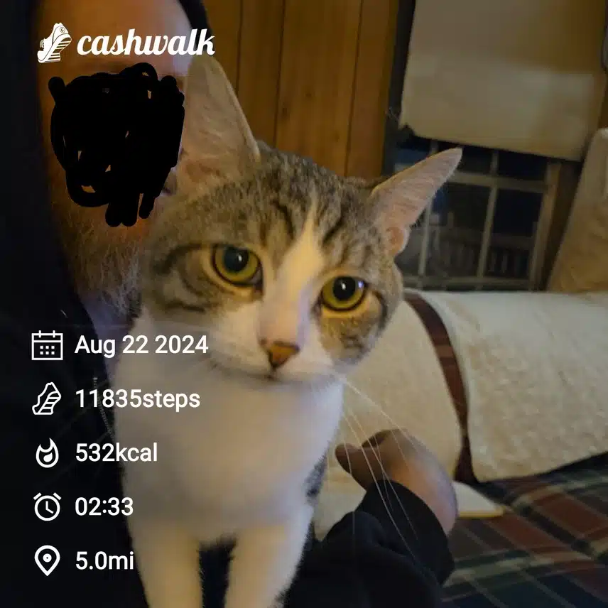 CashWalk_share_capture_20240822_c716cb46-6422-4ac0-8a61-765a0110