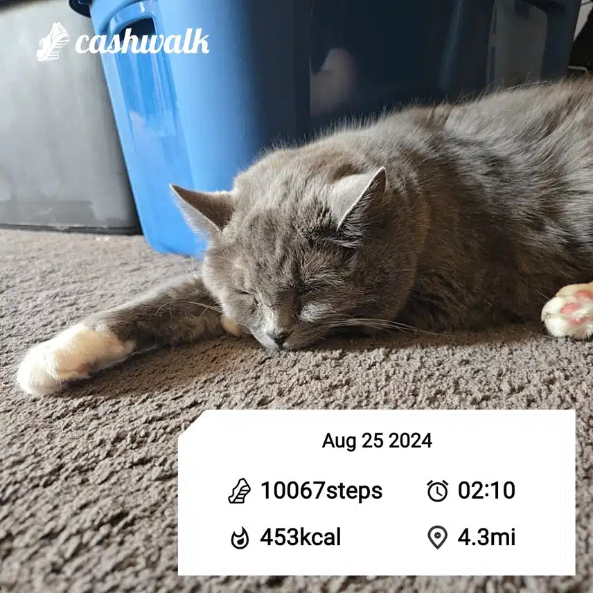 CashWalk_share_capture_20240825_3b5f5d95-44d9-4038-b429-57af881c