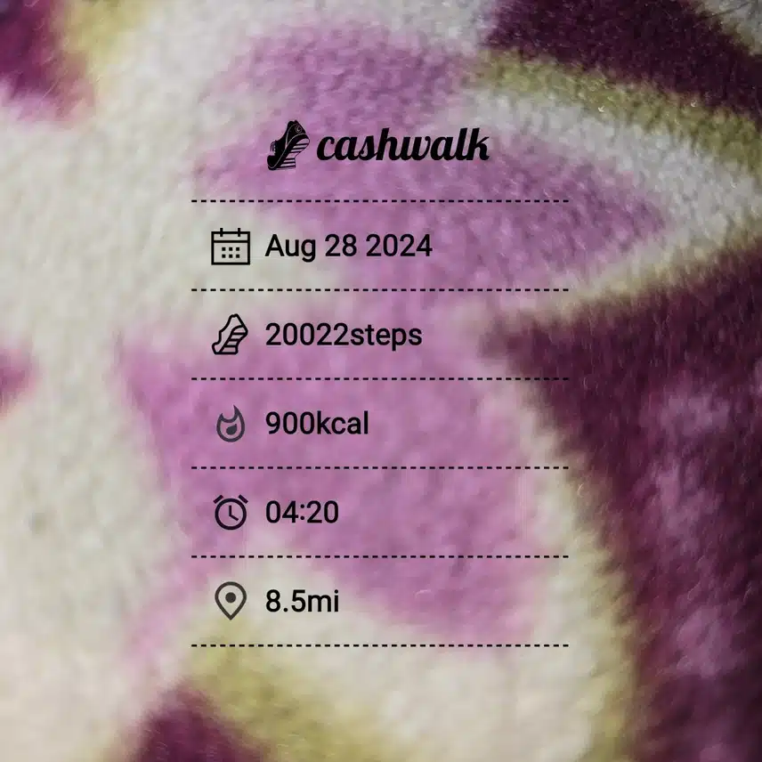 CashWalk_share_capture_20240828_1c7f66ee-b7d0-4ca6-8b89-aff0a977