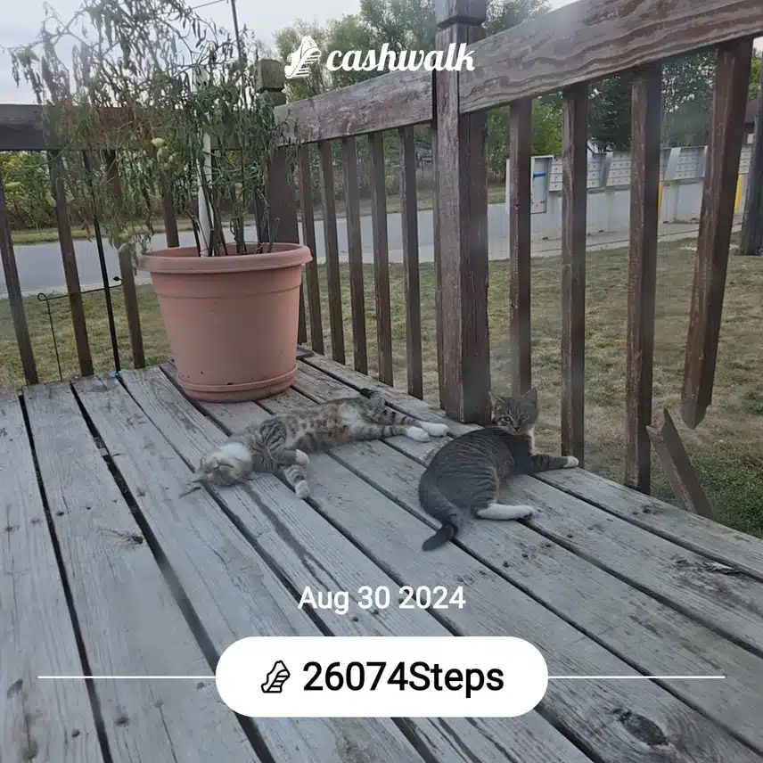 CashWalk_share_capture_20240830_3171ea25-d290-43e4-b58a-d63b1cbc