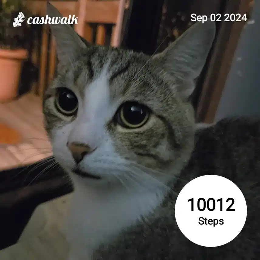 CashWalk_share_capture_20240902_81b5a344-fd83-4d5f-bf07-fd67b735