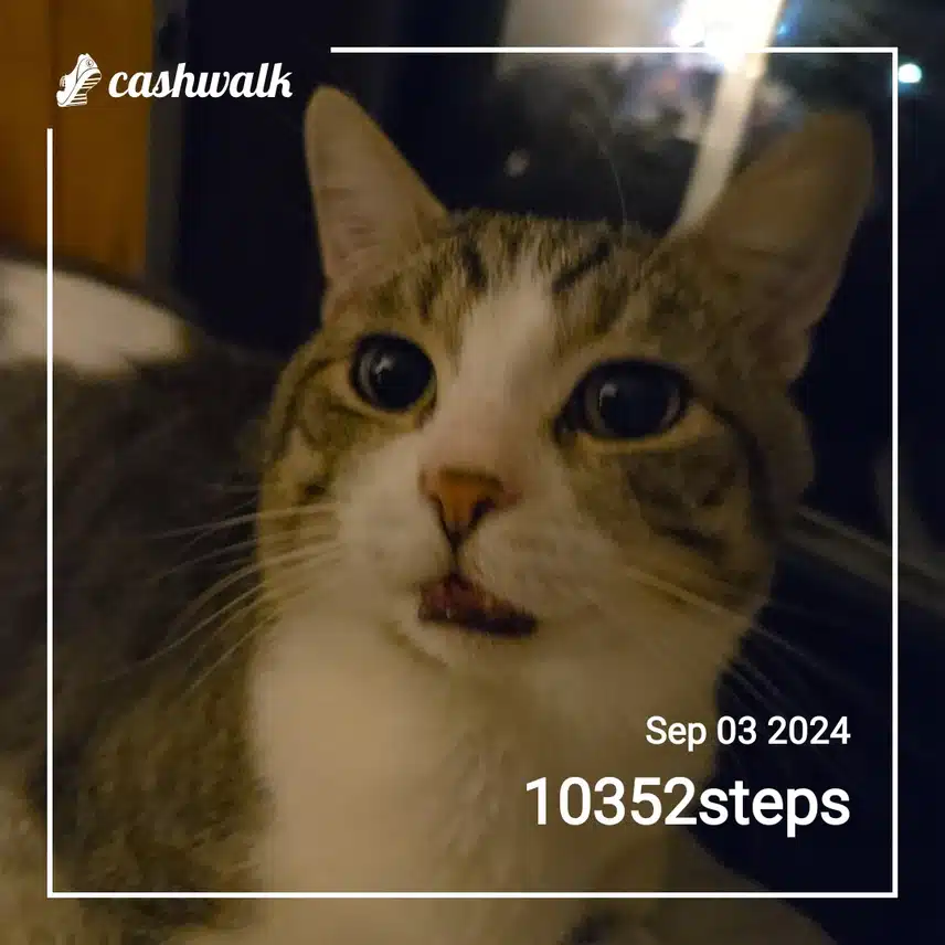 CashWalk_share_capture_20240903_2593ef13-7cd6-4c6e-b9d8-ab0bb03c