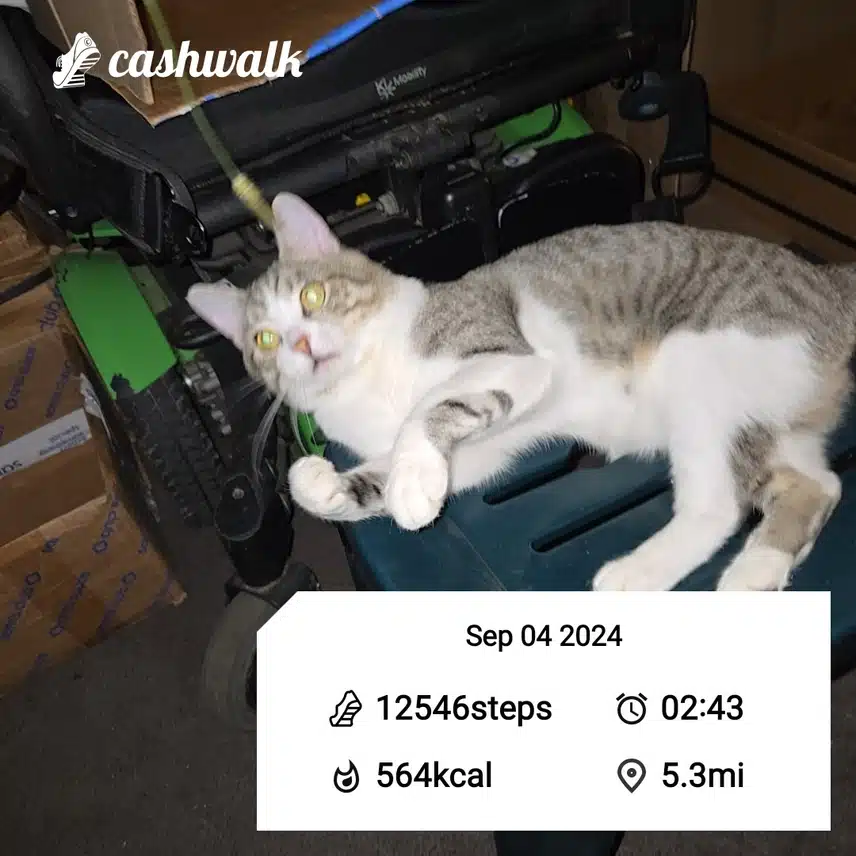 CashWalk_share_capture_20240904_57a22239-91ce-4be1-bf2a-0b724203