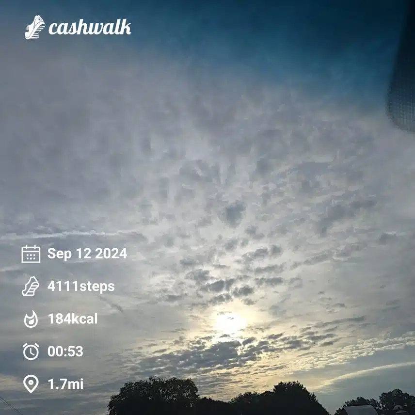 1000008618.jpg_resize