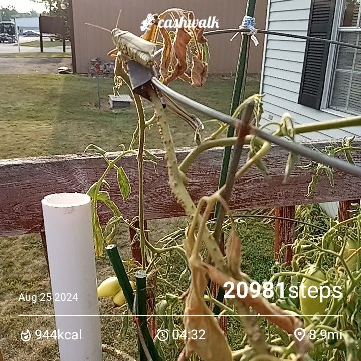 1000005723.jpg_resize