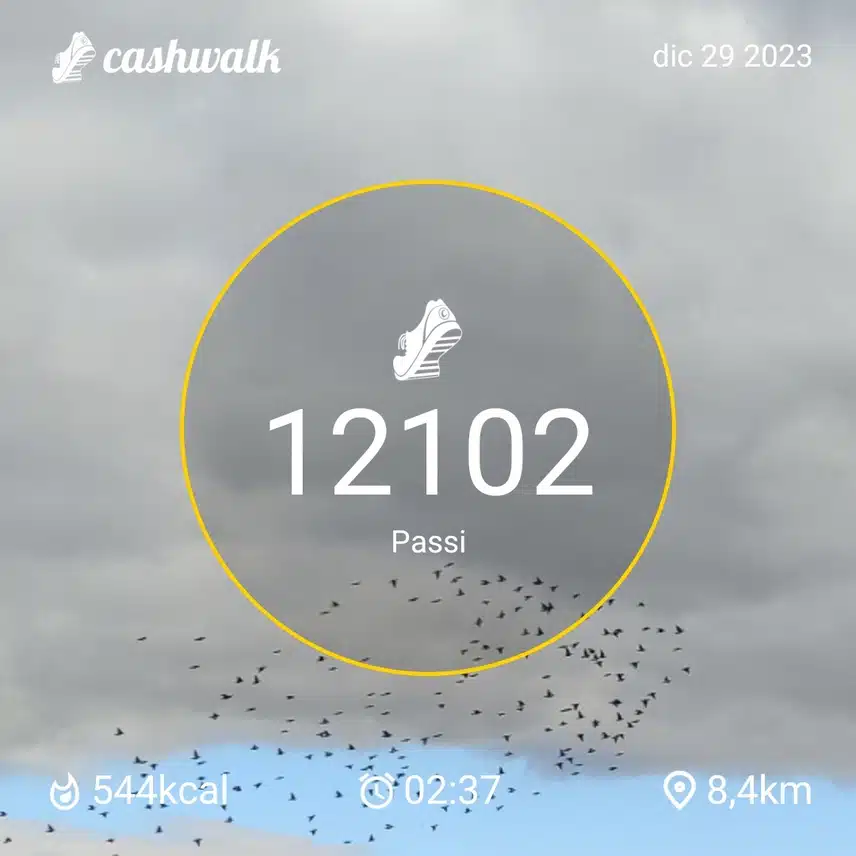 CashWalk_share_capture_20231229_25e28aff-7b63-4a09-a287-5f29e111