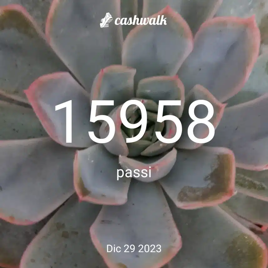 CashWalk_share_capture_20231229_d64dafcc-63c8-487e-bcc7-18fee7ca