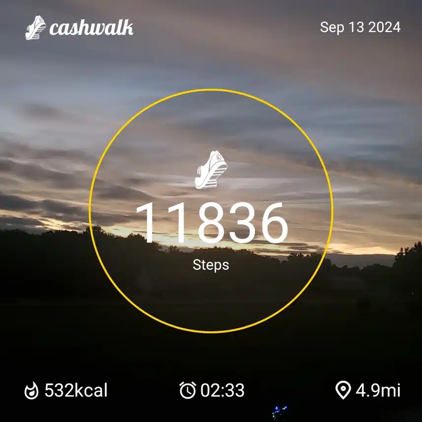 CashWalk_share_capture_20240913_2c2beadc-d706-4f76-8116-ad0d816c